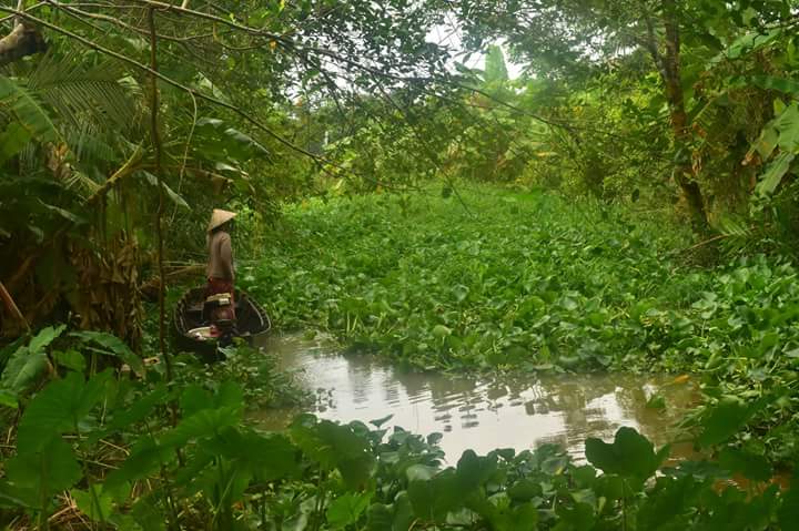 FB_IMG_1513021862948