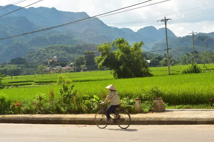 FB_IMG_1534193754702