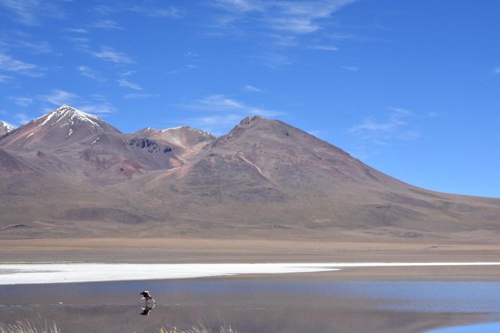 60354902_10157137141254030_4892056501348204544_o